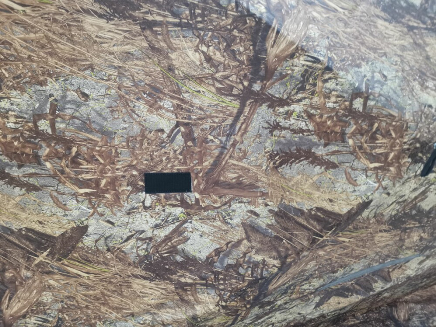 Зимняя палатка Мr.Fisher Лонг 290, камуфляж, композит (трехслойная)