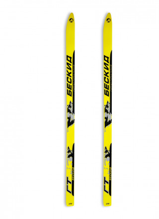 Лыжи БЕСКИД (береза, дуб), длина 170 см